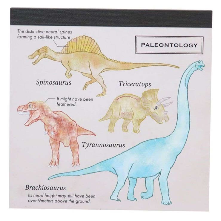cinemacollection STUDY HOLIC メモ帳 スクエアメモパッド 古生物学 新説 Green Flash 新学期準備文具 事務用品 グッズ その他