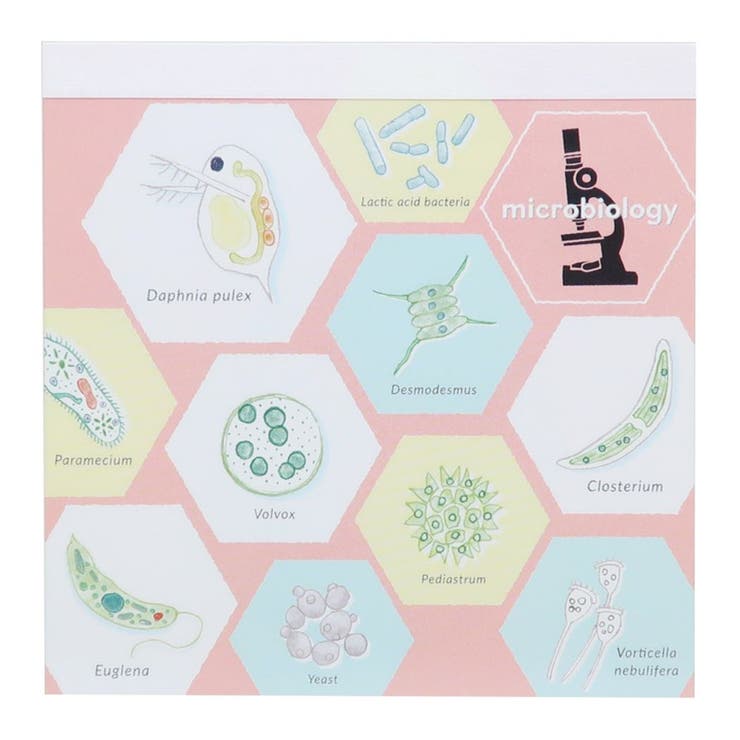 【10％OFFクーポン！5/7(木)9:59まで】cinemacollection STUDY HOLIC メモ帳 スクエアメモパッド 微生物学 Green Flash 新学期準備文具 事務用品 グッズ その他cinemacollection STUD