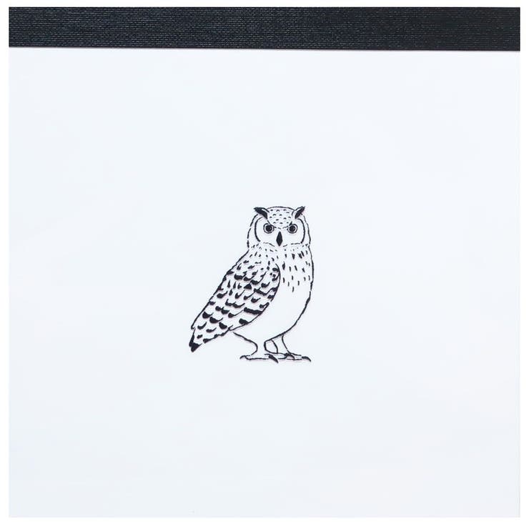 【10％OFFクーポン！2/23(月)1:59まで】cinemacollection Animal Series メモ帳 メモパッド スクエア ミミズク アニマル Green Flash 100枚綴り かわいい グッズ その他