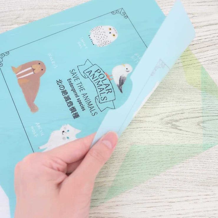 �ڥݥ����2�ܡ������ݥ�3/11(��) 1:59�ޤǡ�cinemacollection ���ꥢ�ե������ ���ꥢ�ե����� A4 ���󥰥� �̤����Ǵ����� ���������� ���ش�����ʸ�� ���襤�� ���å� ʸ˼��