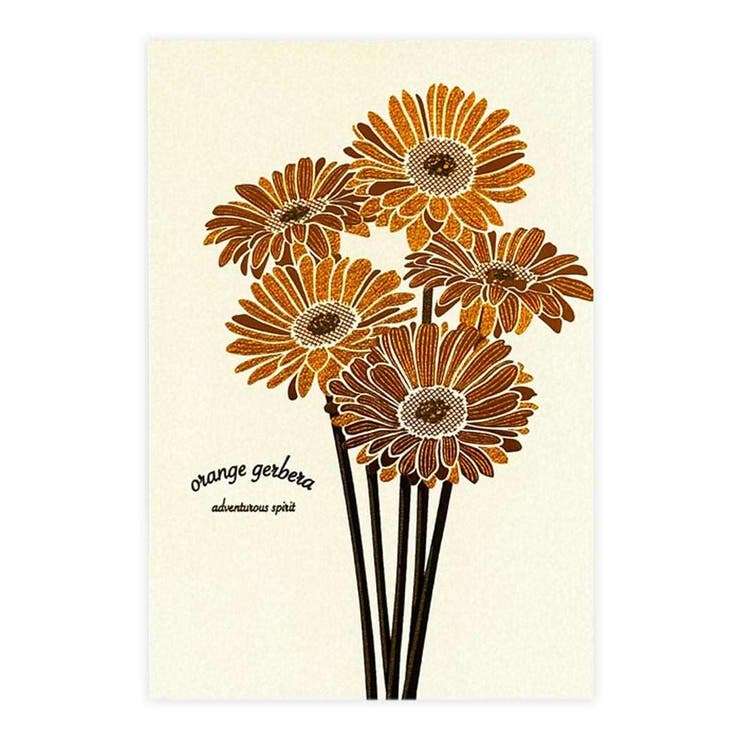 cinemacollection Hakuoshi Botanical POSTCARD �ݥ��ȥ����� 1������ �����٥� �ե��� �󲡤� ��å����������� ��...