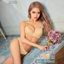 Dazzy ブラジャー 脇高ブラジャー ショーツ セット ワンカラー グロス レーシィ 脇高 ブラジャー & フルバック ショーツ | ブラジャー ショーツ セット 脇肉 贅肉 盛りブラ ブラ セット 下着 レディース セット インナー・下着