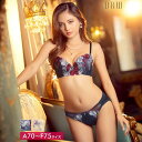 Dazzy ブラジャー ショーツ セット ビビット シアー モダン フラワー ブラジャー & フルバック ショーツ 下着 レディース セクシー ブラ ショーツ セット 上下セット セクシー 下着 ランジェリー 美胸 インナー・下着