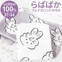 【5/16 1:59まで 5%OFFクーポン】BACKYARD FAMILY らぱぱかフェイスハンドタオル 小物