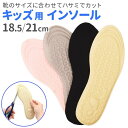 BACKYARD FAMILY インソール 子供用 pmyinsole1 シューズ・靴