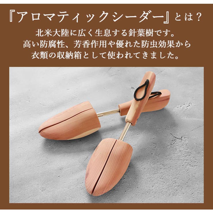 サンプル画像3