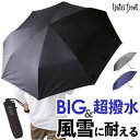 BACKYARD FAMILY Water front 富山サンダー インバッグ 70cm 小物