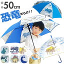 【5%OFFクーポン 9/11 1:59まで】BACKYARD FAMILY キャラクター キッズジャンプ傘 50cm 小物
