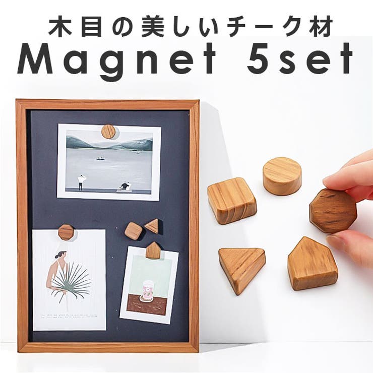 BACKYARD FAMILY Magnet shape 5個入り 文具