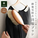 BACKYARD FAMILY GRAND IKEMOTO IKC3822 洋服ブラシ XL 小物