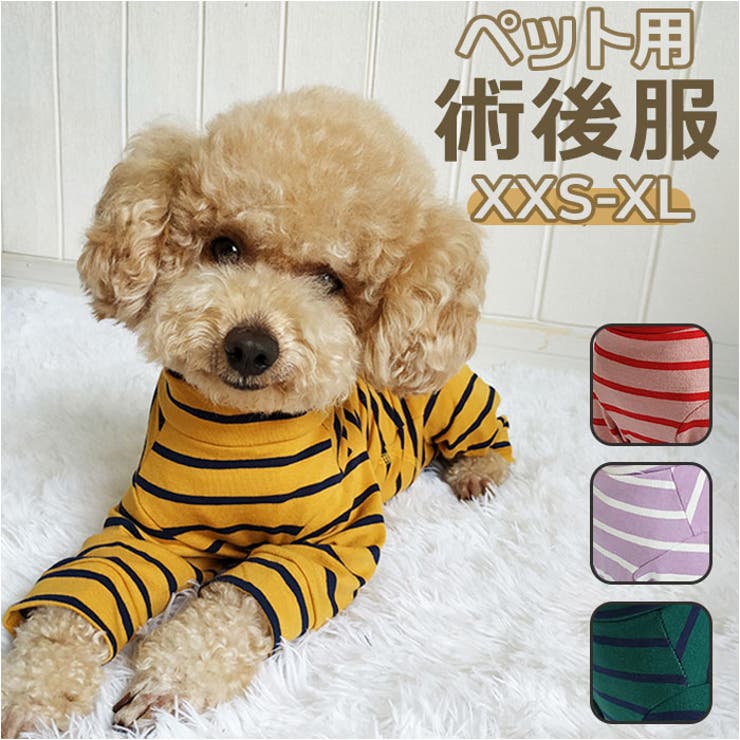 BACKYARD FAMILY ペット用術後服 長袖 yktdp1 ファッション雑貨