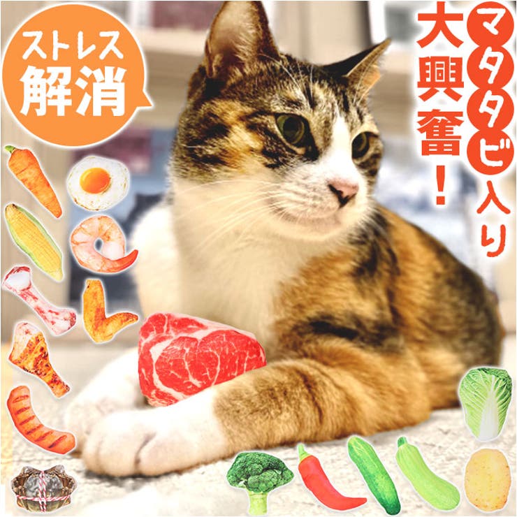 BACKYARD FAMILY ペット用 玩具 マタタビ 猫用 xjcattoy01 ファッション雑貨