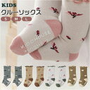 BACKYARD FAMILY キッズ ソックス seysmy ベビー