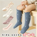 BACKYARD FAMILY キッズ ソックス 春秋 sesocks8042 ベビー