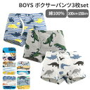 【5/15限定 15%OFFクーポン】BACKYARD FAMILY 男の子ボクサーパンツ h288 インナー・下着