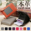 BACKYARD FAMILY カードケース pmycard0316 小物