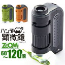 【6/11 1:59まで 10%OFFクーポン】BACKYARD FAMILY ハンディ顕微鏡 ZOOM RXT1143 小物