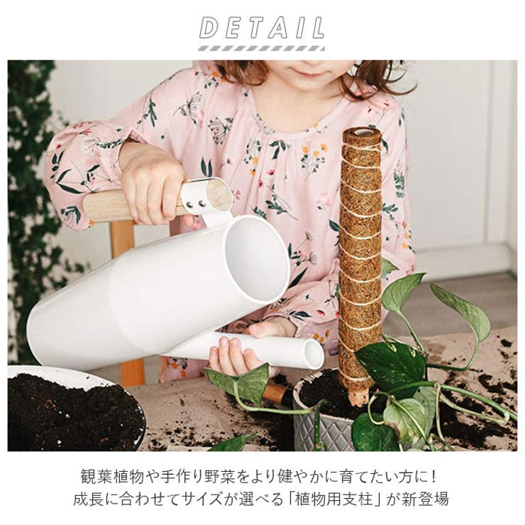 BACKYARD FAMILY 支柱 植物支柱 cn0441 寝具・インテリア雑貨 [2]