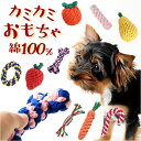 BACKYARD FAMILY ペットおもちゃ pkbq012 ファッション雑貨