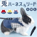 BACKYARD FAMILY ペット 小動物 ウサギ ハーネス リード ファッション雑貨