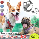 BACKYARD FAMILY 犬 ハーネス リード付き ファッション雑貨