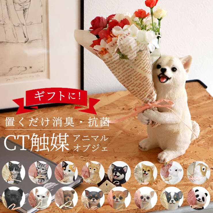 BACKYARD FAMILY CT触媒 ミニョンブーケ ファッション雑貨