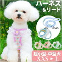 BACKYARD FAMILY ペット 犬 ハーネス リード付き かわいい ファッション雑貨