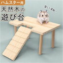 BACKYARD FAMILY ハムスター 遊び台 ペット用品 ファッション雑貨