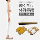 【5/10限定 15%OFFクーポン】BACKYARD FAMILY Sliet スリエット Y-Type 寝具・インテリア雑貨