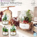 【5/15限定 15%OFFクーポン】BACKYARD FAMILY eclia エクリア 消臭アーティフィシャルグリーン CT触媒 寝具・インテリア雑貨