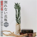 【5/15限定 15%OFFクーポン】BACKYARD FAMILY PV シリンダー12 H50 寝具・インテリア雑貨