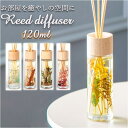 【8/11まで5%OFFクーポン】BACKYARD FAMILY B-nature リードディフューザー 120ml 寝具・インテリア雑貨