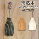 【5/15限定 15%OFFクーポン】BACKYARD FAMILY マグネットベース Mサイズ GC-02 寝具・インテリア雑貨