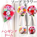 BACKYARD FAMILY ハンギングドーム 寝具・インテリア雑貨
