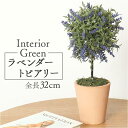 BACKYARD FAMILY ラベンダートピアリー 寝具・インテリア雑貨(3)
