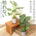 BACKYARD FAMILY セメントポット 寝具・インテリア雑貨