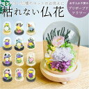 【5/16 1:59まで 5%OFFクーポン】BACKYARD FAMILY ガラスドームアレンジメントL 寝具・インテリア雑貨