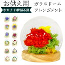 【5/16 1:59まで 5%OFFクーポン】BACKYARD FAMILY スフィア ガラスドームアレンジメント 寝具・インテリア雑貨