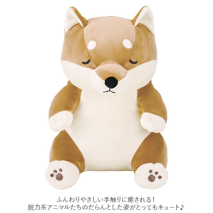 BACKYARD FAMILY �¤������ޤ��� M ���񡦥���ƥꥢ����