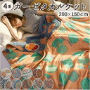 BACKYARD FAMILY タオルケットケット 4重ガーゼ yktket3163150 寝具・インテリア雑貨