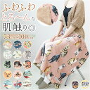 BACKYARD FAMILY フランネル ボアブランケット 寝具・インテリア雑貨