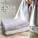 【マラソン期間中 5%OFFクーポン】BACKYARD FAMILY カラリデイプレミアム CARARI DAY Premium バスタオル バス・トイレ・掃除洗濯