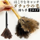 【5/16 1:59まで 5%OFFクーポン】BACKYARD FAMILY はたき ほこり取り lyls4 バス・トイレ・掃除洗濯