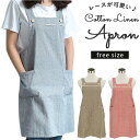 【5/16 1:59まで 5%OFFクーポン】BACKYARD FAMILY エプロン 無印 aapron32 食器・キッチン用品