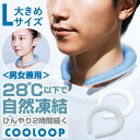 BACKYARD FAMILY COOLOOP アイスネックリング Lサイズ スポーツ(4)