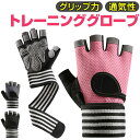 【マラソン期間中 5%OFFクーポン】BACKYARD FAMILY トレーニンググローブ pkq11 スポーツ