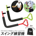BACKYARD FAMILY スイング練習機 swiicsrt23 スポーツ