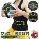 BACKYARD FAMILY サッカー練習器具 pmymp01 スポーツ