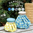 BACKYARD FAMILY アイスバッグ スポーツ