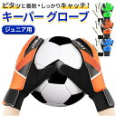 BACKYARD FAMILY キーパーグローブ サッカー フットサル ジュニア キッズ スポーツ